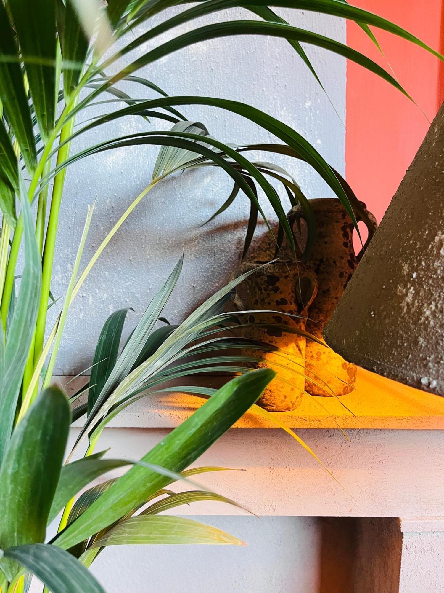 Guesthouse Nights By Morpheus Antwerp Exterior photo